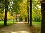 Herbst in den B�umen bei Pillnitz   | Aufnahme: 2011:10:24 14:19:16
