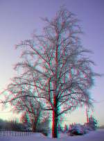 Dies Bild gef�llt mir besser, denn da  kommt  der Baum zum Computer raus!
Sehr eindr�cklich!
Gruss