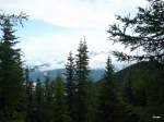Die Waldlandschaft auf der Hochwurzen am (3.7.2009)