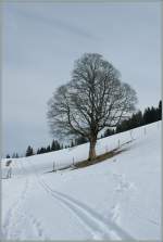 Noch ist im Berner Oberland Winter - doch der Fr�hling naht.