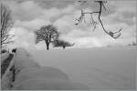 Winterlandschaft oberhalb von Vevey.
2. Dez. 2010